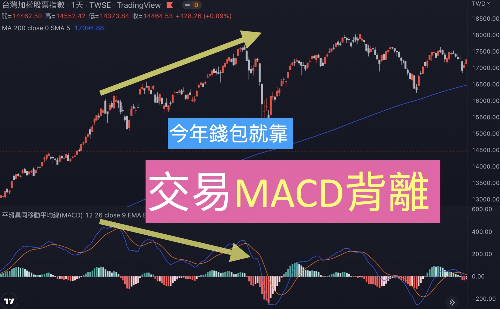 利用技術指標2種MACD背離使利潤最大化，今年錢包就靠它！