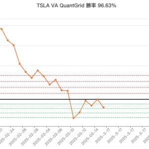 VA QuantGrid Options 期權策略工具